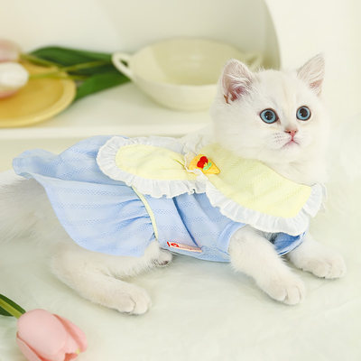 芝士樱桃裙子猫咪衣服