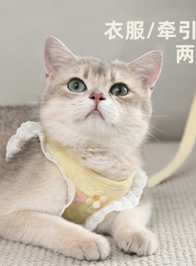 猫咪牵引绳防挣脱外出专用猫猫溜猫不勒脖小猫幼猫胸背带遛猫绳子