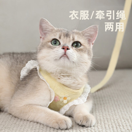 猫咪牵引绳防挣脱外出专用猫猫溜猫不勒脖小猫幼猫胸背带遛猫绳子