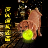 Эластичный рельеф плюшевый морской еж