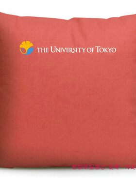 大学纪念品日本靠垫抱枕