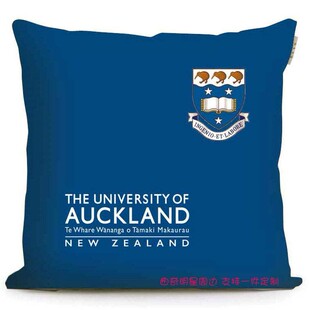 礼品大学周边世界新西兰奥大纪念品奥克兰留学沙发靠垫布艺抱枕
