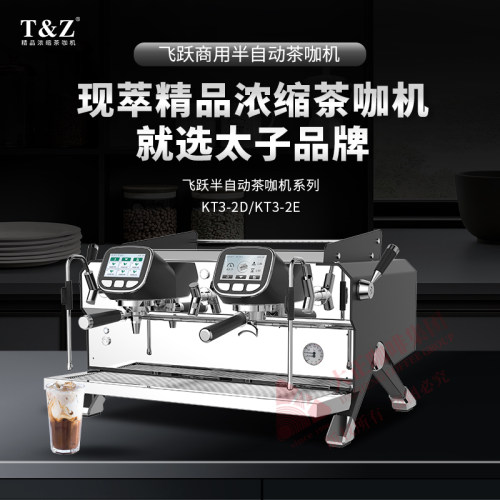 太子KT3飞跃咖啡机半自动双头T&Z