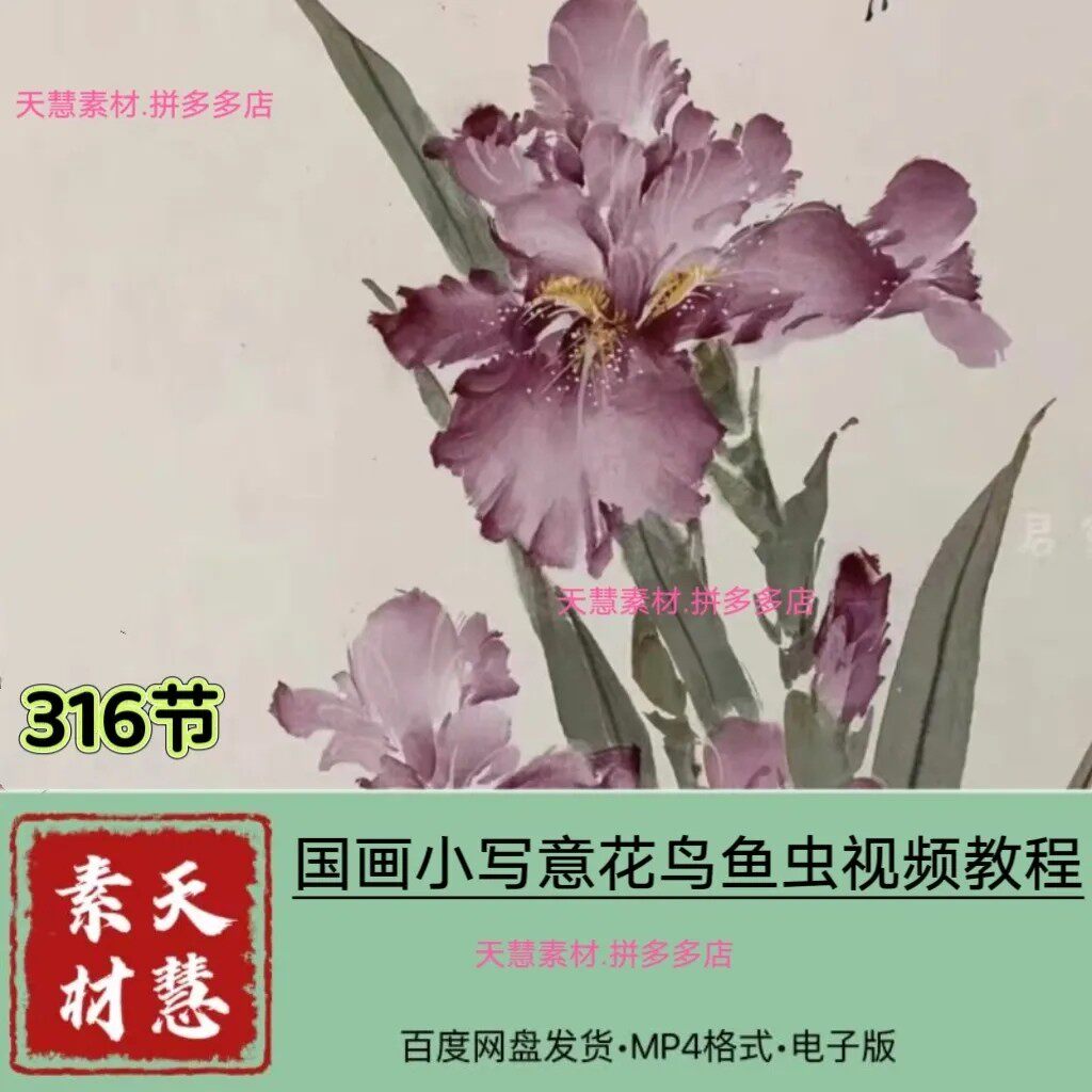 国画零基础小写意花鸟虫草316节视频文件百度网盘发货