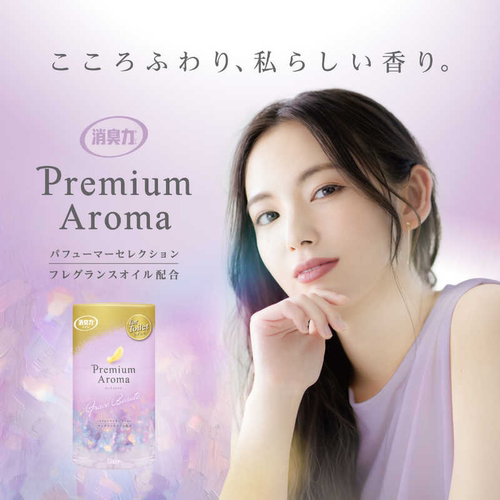st卫生间空气清新除臭剂400ml