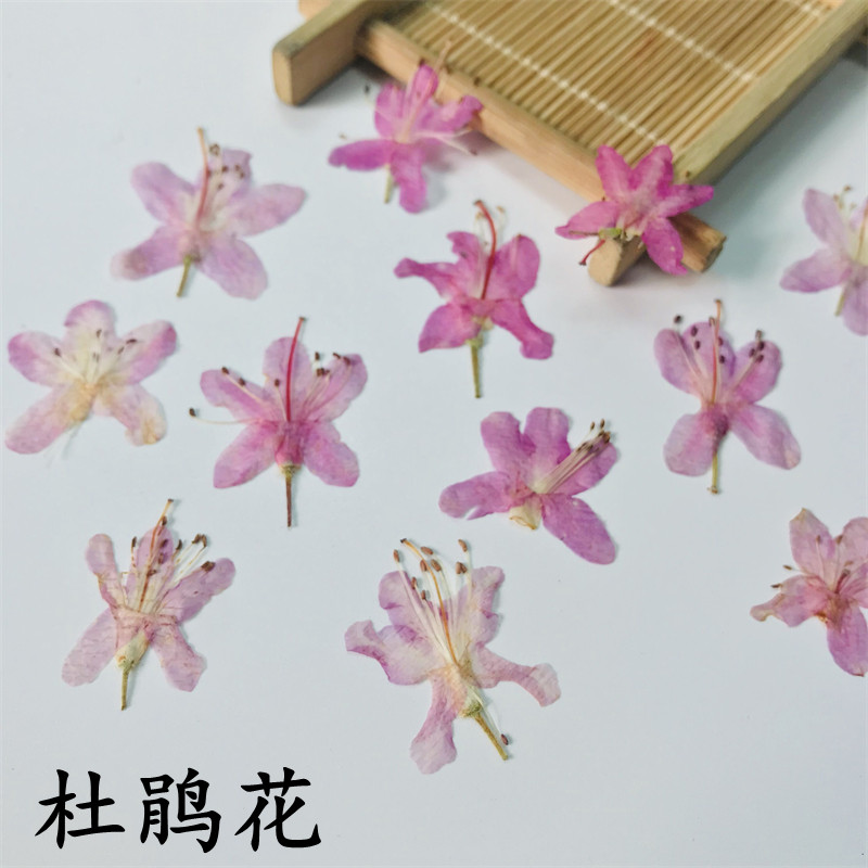 手工香薰蜡烛干花diy压花