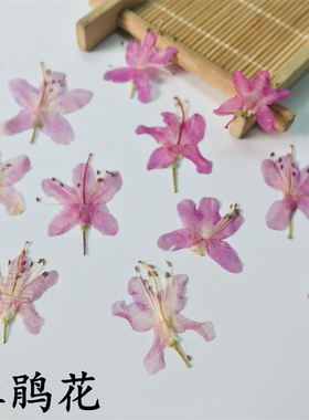 手工香薰蜡烛干花diy压花