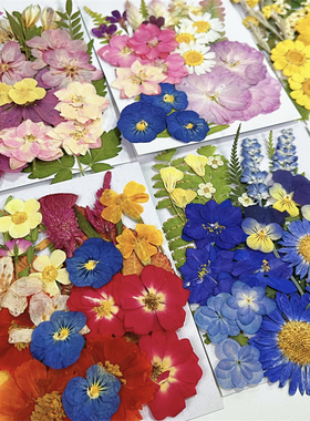 diy手工材料包压花干花贴画素材