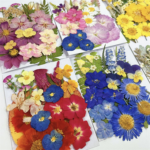 diy手工材料包压花干花贴画素材
