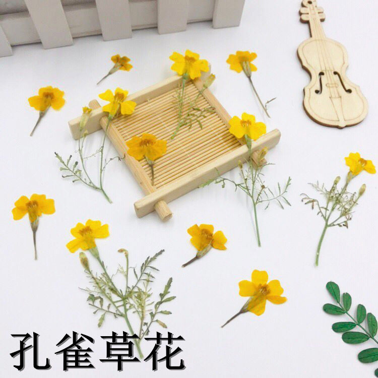 孔雀草diy脸妆滴胶手机壳干花