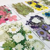 压花包干花包书签幼儿园diy材料树叶亲子手工贴画植物标本塑封