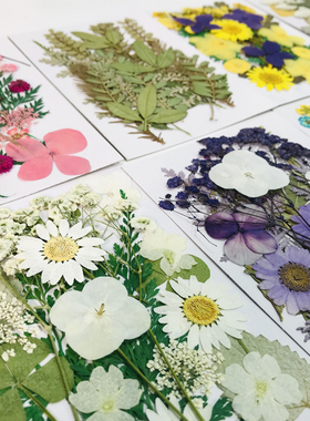 压花包干花包书签幼儿园diy材料树叶亲子手工贴画植物标本塑封