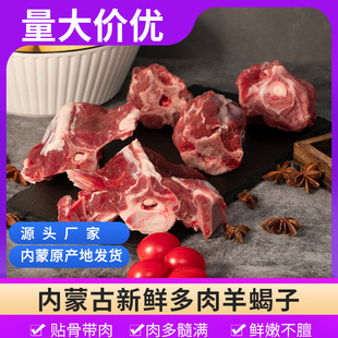 内蒙古羊蝎子羊脊骨新鲜现杀生鲜火锅食材冷冻商用带骨生羊肉