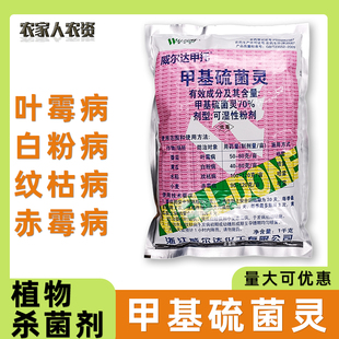 70%甲基硫菌灵威尔达小麦赤霉病黄瓜白粉病纹枯病叶霉病杀菌剂