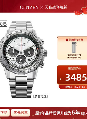 西铁城光动能机芯PROMASTER系列多功能不锈钢商务休闲男表CA4660