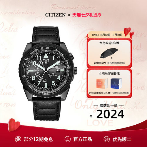 西铁城带夜光深度防水运动手表