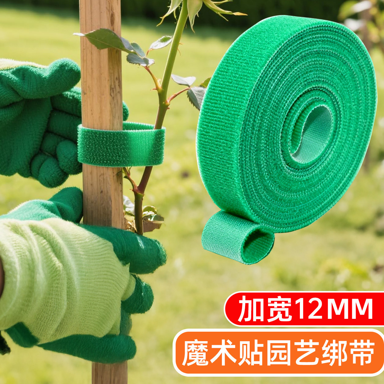 爬藤绿植物绑带造型魔术贴花园带双面粘园艺扎线捆绑支撑插花固定