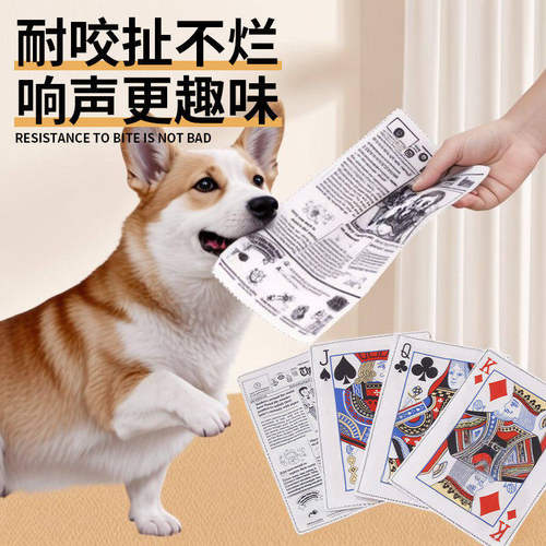 狗狗玩具磨牙趣味发声报纸响纸好物泰迪柯基大中小型幼犬宠物用品