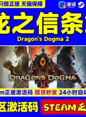 steam 龙之信条2 Dragon's Dogma 2 国区cdkey激活码 PC中文正版游戏