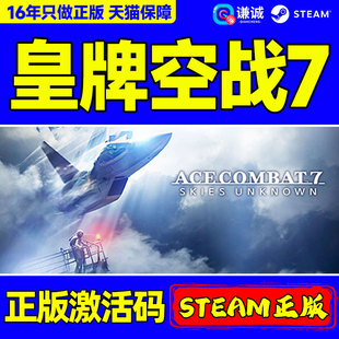 PC中文steam  皇牌空战7未知空域  ACE COMBAT 7 SKIES UNKNOWN 国区CDKey激活码