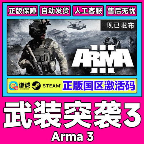 steam 武装突袭3 Arma 3 国区激活码cdkey 中文 PC 正版游戏