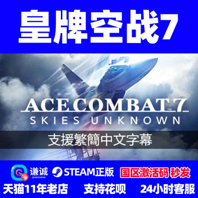 steam中文皇牌空战国区激活码