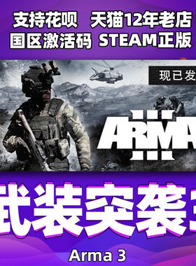 steam 武装突袭3 Arma 3 国区激活码cdkey 中文 PC 正版游戏