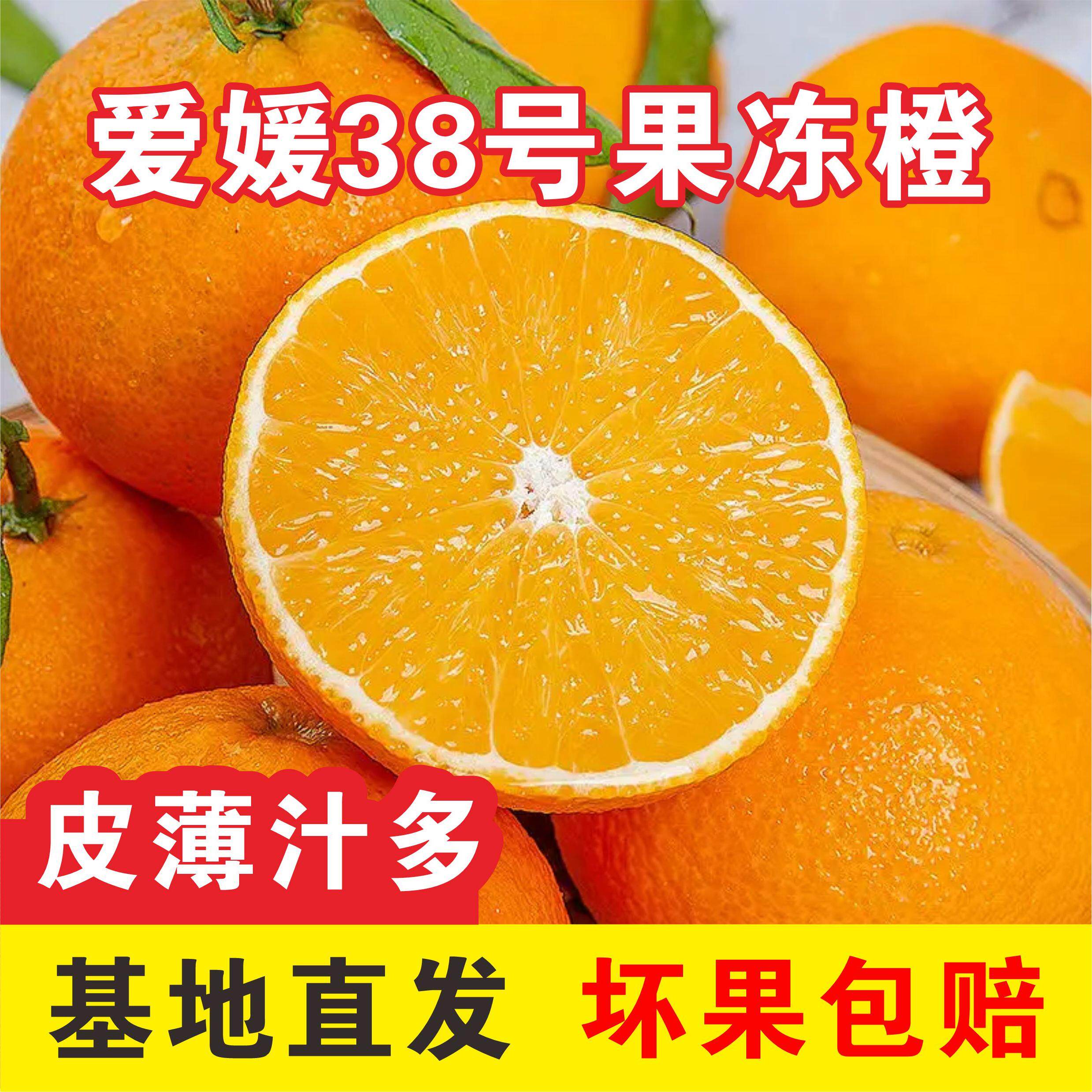 四川井研农场直发爱媛38号果冻橙