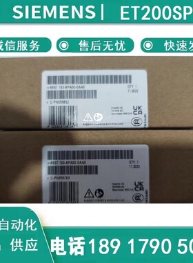 西门子模块6ES7193-6PA00-0AA0 ET200SP 6ES71936PA000AA0