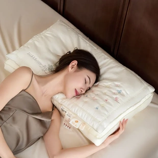新款双层蝶梦蚕丝枕莱赛尔纤维蚕丝枕芯立体双层包边刺绣成人枕头