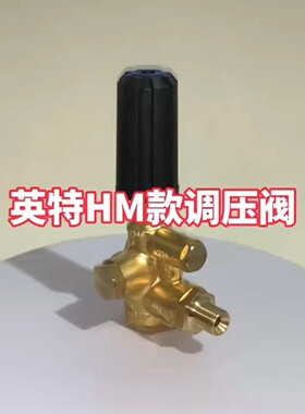 英特INTERPUMP高压泵HM同款调压阀