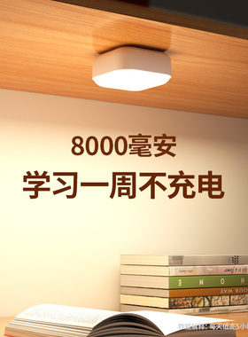 大学生宿舍床帘灯磁吸灯充电款寝室床上灯床头阅读小台灯超长续航
