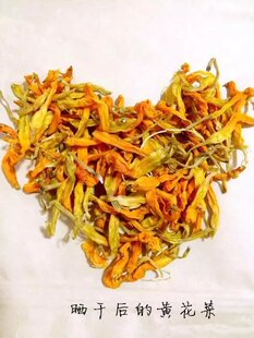 台湾品种黄花菜自产自销高山金针菜萱草花干货金针花50斤包邮