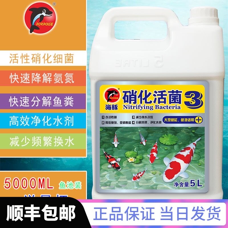 海豚硝化细菌鱼缸净水剂水质稳定剂鱼池水质澄清剂消化菌硝化活菌