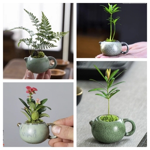 迷你小茶壶西施壶花盆多肉绿植竹柏窑变暗绿盆栽室内台桌粗陶摆件