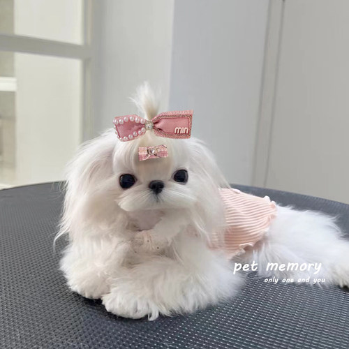 宠物发夹手作BB夹狗狗猫咪小香风水钻珍珠发夹梳蝴蝶结马尔济斯狗