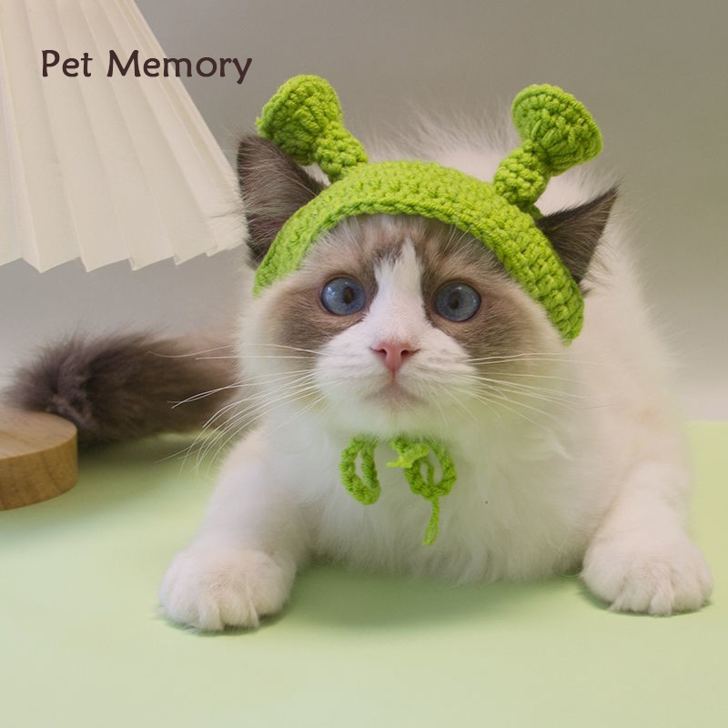 网红痞宠物帽子petmemory