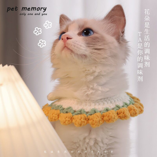 猫咪狗狗手工编织项圈毛线针织钩织口水巾宠物可爱拍照装饰围脖兜