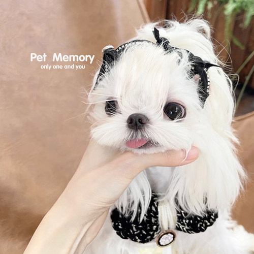 宠物发箍狗狗原创手工发饰头花马尔济斯约克夏珍珠发箍宠物发夹