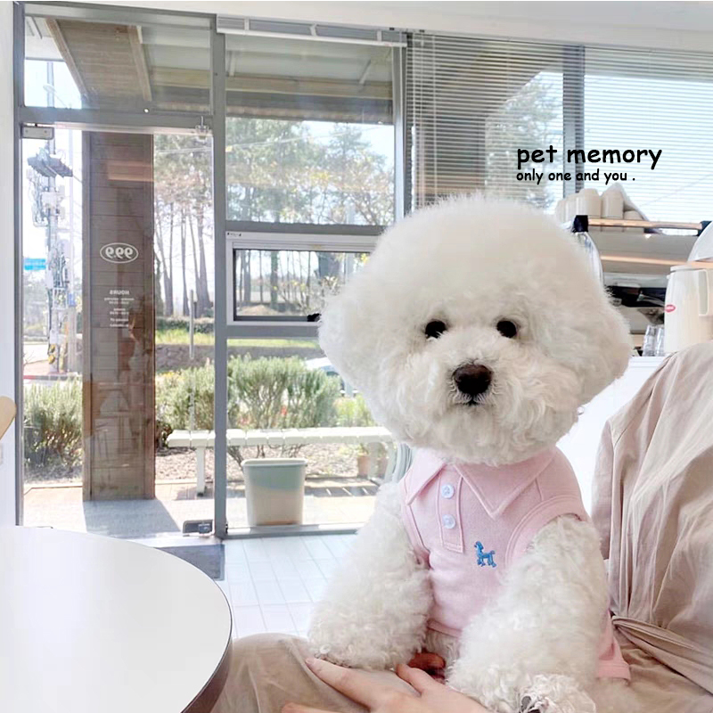 华夫格小熊背心小狗狗宠物衣服薄款泰迪比熊中小型犬春夏polo猫咪