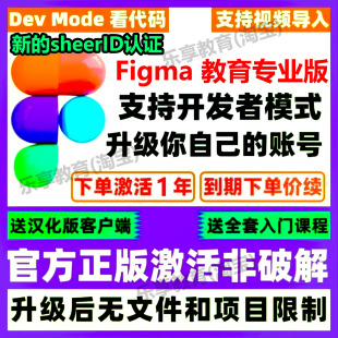 Figma 专业版会员 pro 授权升级教育认证 UI设计汉化包全功能中文