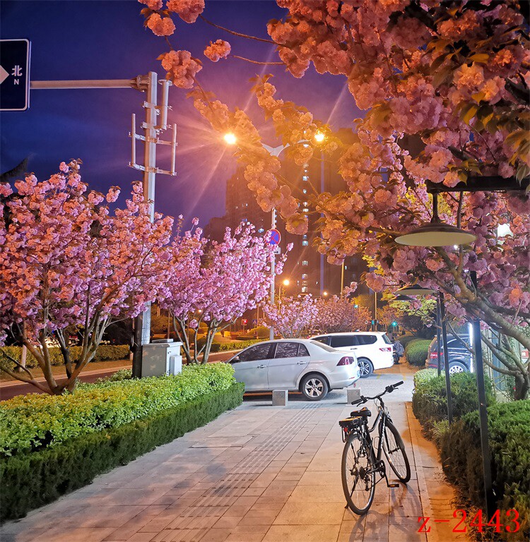 新款主播直播夜景3D背景布