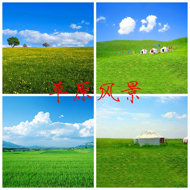 新款草原蒙古风景抖音快手网红主播直播拍摄视频段子背景布3d立体