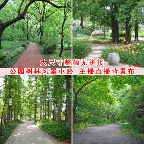 主播直播背景布公园小路树林风景