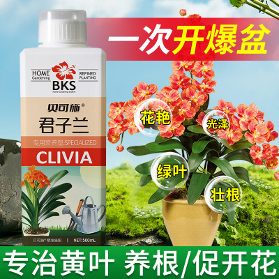 贝可施君子兰营养液浓缩营养液花卉绿植室内液体肥生根壮根厂家