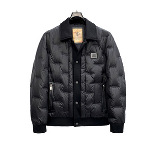 507P395 25冬季新款 90%白鸭绒刺绣翻领羽绒服  控598图片