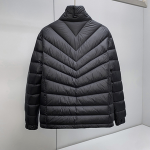 25729P450 25冬季新款 90%白鸭绒微阔立领羽绒服  控698图片