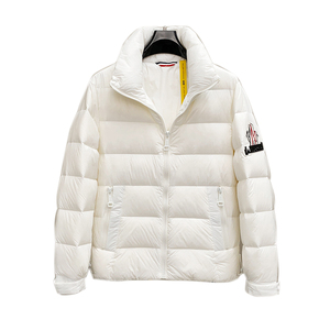 873P310 24冬季新款 90%白鸭绒简约时尚休闲羽绒服图片