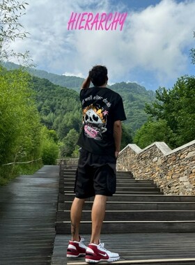 HIERARCHY/统治集团面料纯棉圆领短袖T恤篮球美式简约印花情侣T