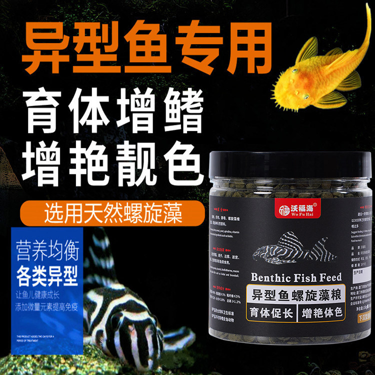 异形鱼饲料螺旋藻鱼粮